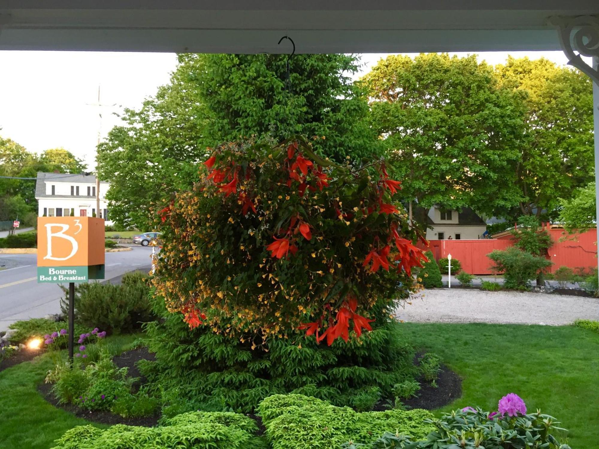 Bourne Bed And Breakfast Ogunquit Extérieur photo